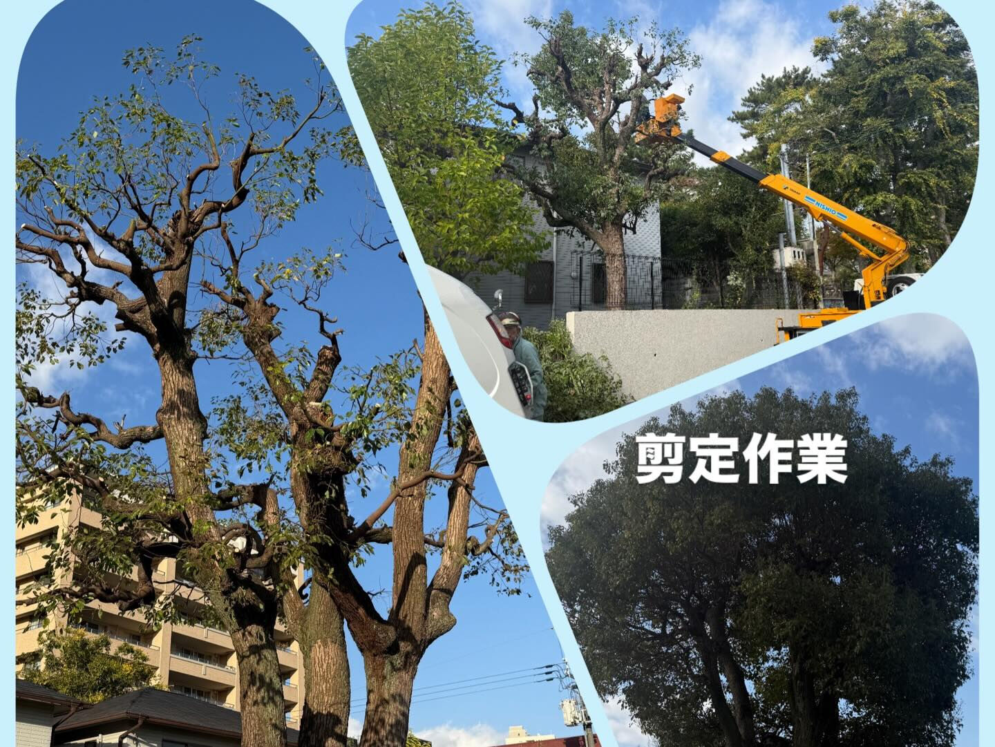 当社は石材以外に造園、土木工事も承っております　１１月１２月