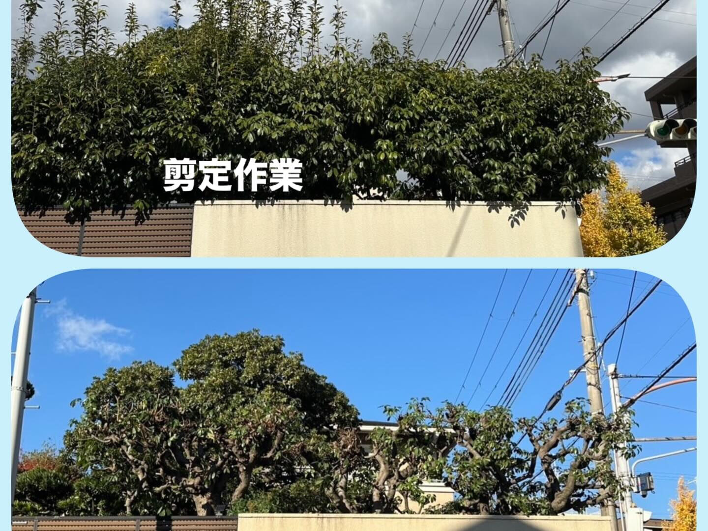当社は石材以外に造園、土木工事も承っております　１１月１２月